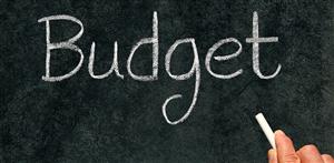 Budget pic 
