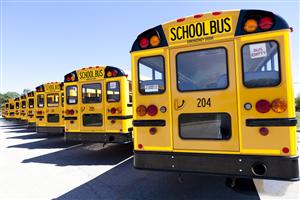 Buses 